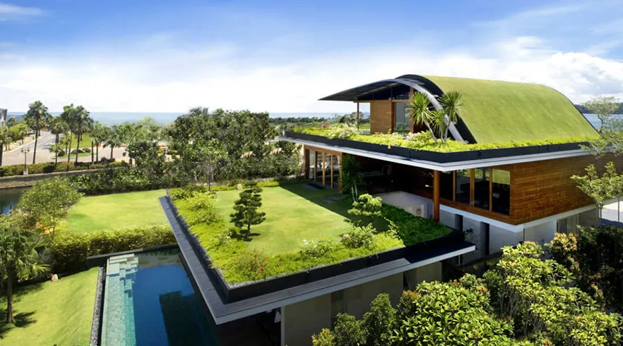 Green roof render