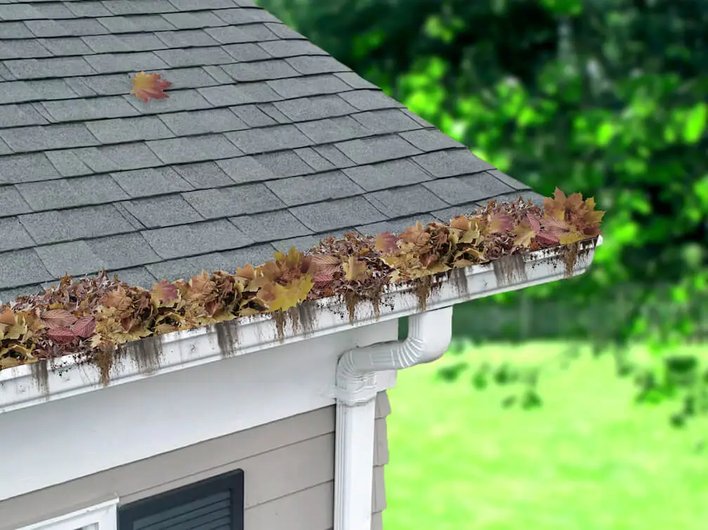 clogged gutters