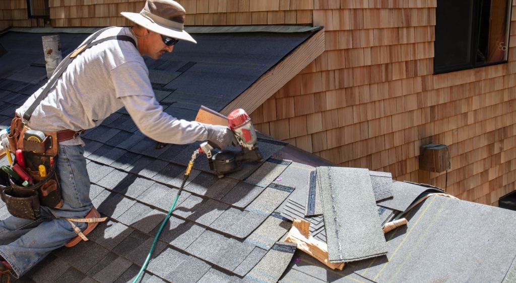 Arlington homeowner inspecting a roof, showing DIY roof care and maintenance tips.