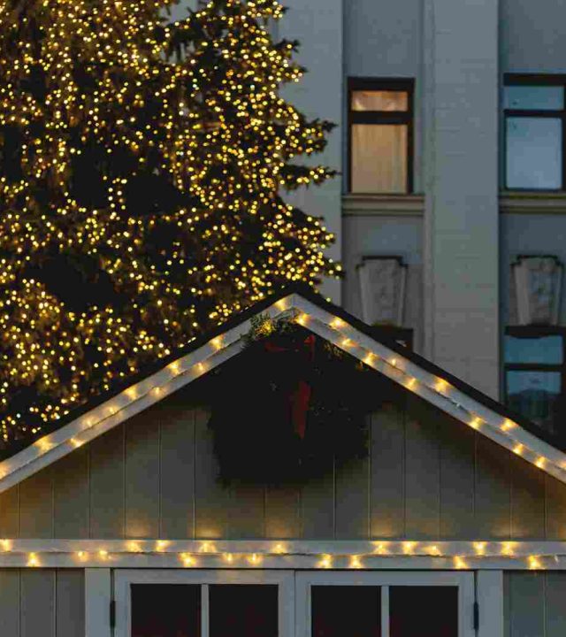A house roof decorated with string lights in front of a large tree covered in yellow holiday lights, with a building visible in the background—a festive touch any roofing company like roofer.com would admire.